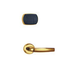 Anahtarsız RFID Anahtar Kartlı Kapı Kilitleri 125kHz 4×AA Alkalin Elektronik Kapı Kilidi