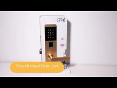 TT Lock App ile Alüminyum Alaşımlı Akıllı Ev Şifreli Kapı Kilitleri