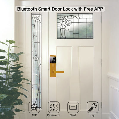 Alüminyum Alaşım TTlock Parola Daire Ev Ofisi için Elektronik Akıllı Kapı Kilitleri