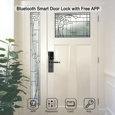 Paslanmaz Çelik 6068 Mortise TTlock Smart Keypad ile Uygulama Denetlenen Kapı Kilit