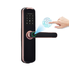 Ev için Dijital Biyometrik Anahtarsız Akıllı Parmak İzi Kapı Kilidi Wifi BLE