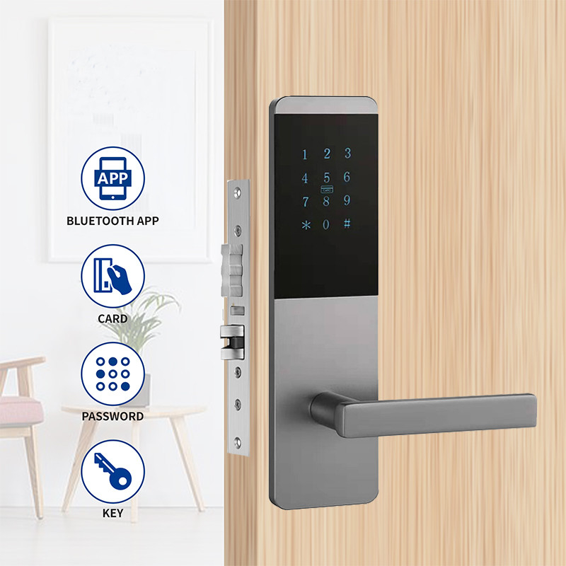 4 in 1 Alüminyum Alaşım Daire Akıllı TTlock Dokunmatik Klavyeli Kapı Kilit